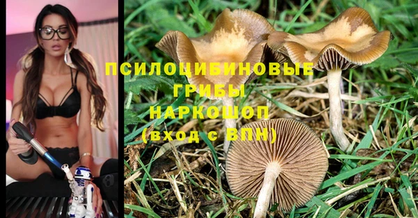 соль курить ск Нефтегорск