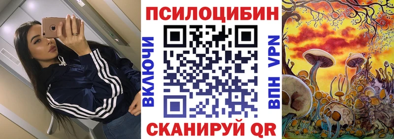 Псилоцибиновые грибы GOLDEN TEACHER Мензелинск